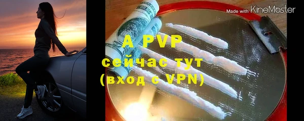 винт Инсар