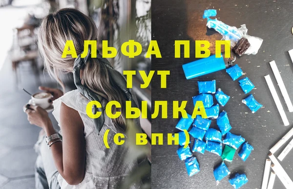 винт Инсар