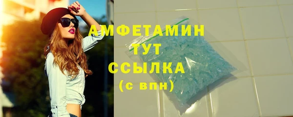 spice Инта