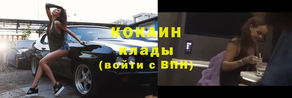 spice Инта