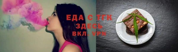 spice Инта