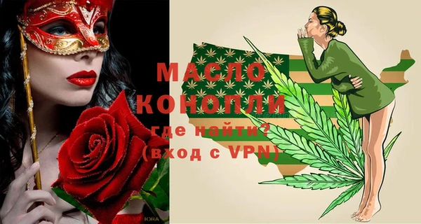 spice Инта