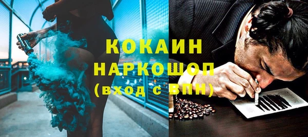 spice Инта