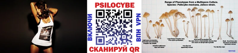 Галлюциногенные грибы GOLDEN TEACHER  Купить  Бузулук 